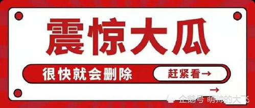 吃瓜八卦娱乐圈公众号,揭秘明星背后的秘密！